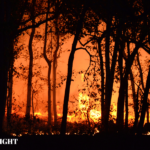 California Wildfire Destroys 132 Buildings, Spreads Rapidly