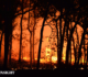 California Wildfire Destroys 132 Buildings, Spreads Rapidly