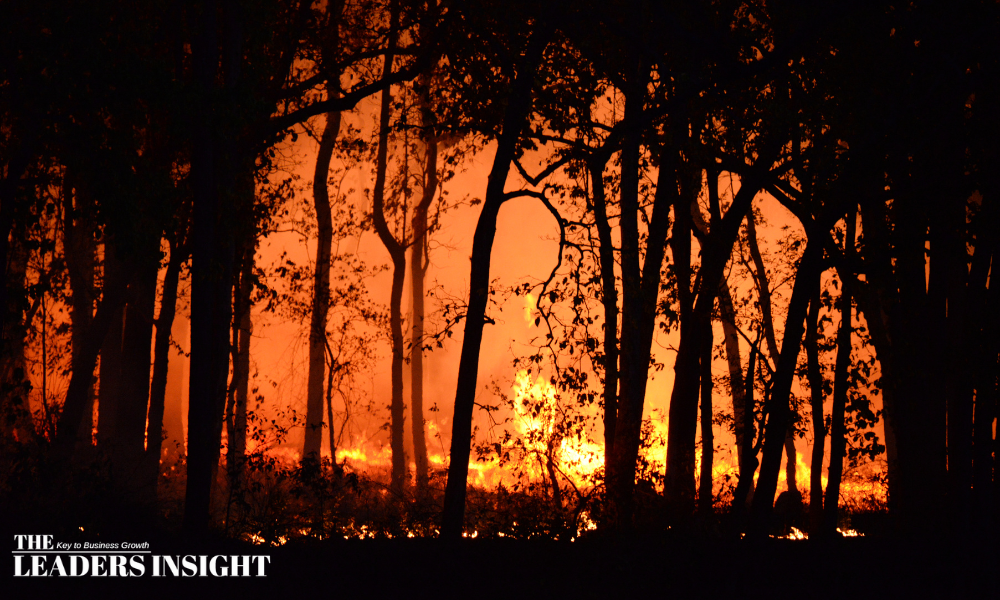 California Wildfire Destroys 132 Buildings, Spreads Rapidly